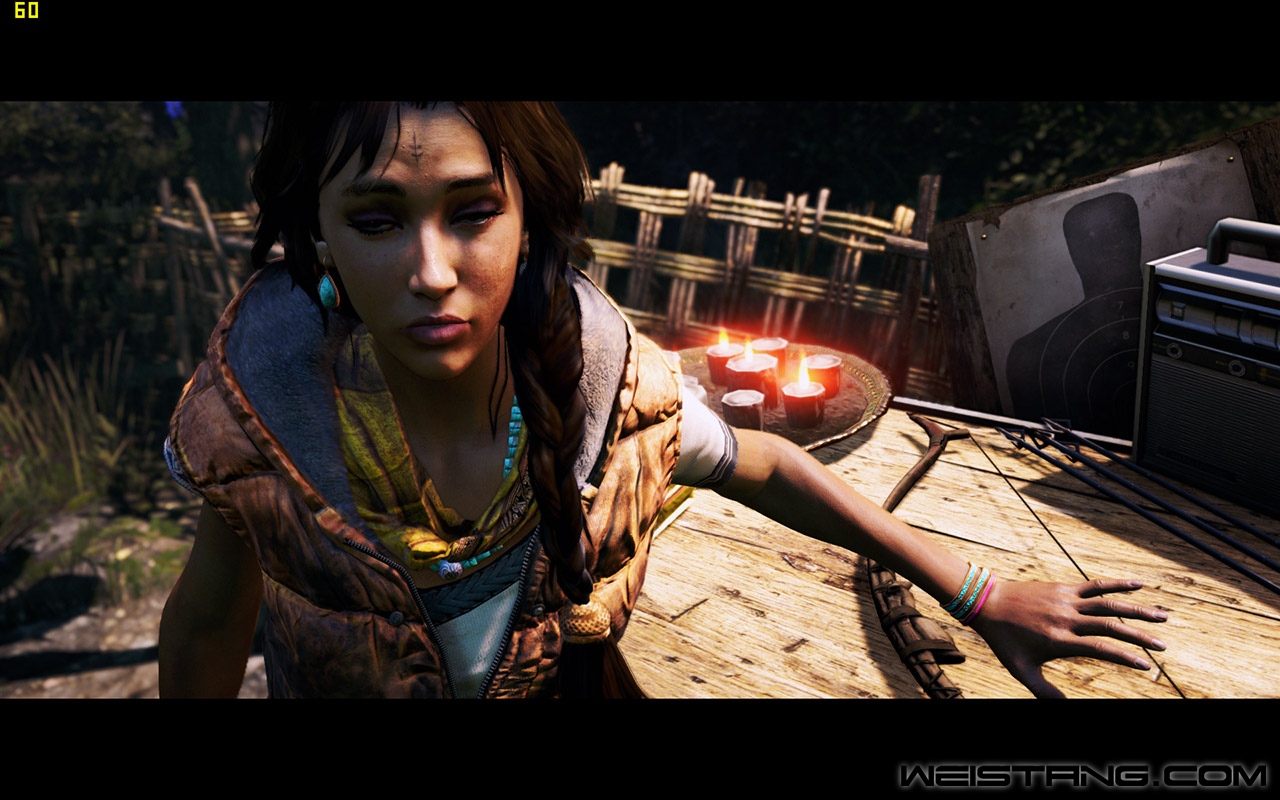 FarCry4-2014-11-26-02-23-36-57.jpg