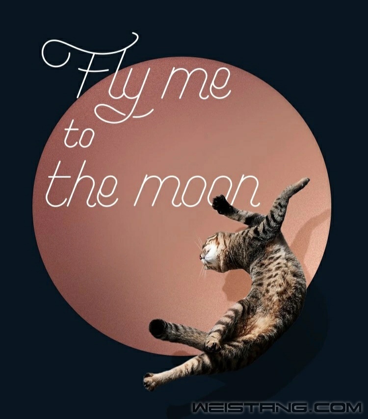 Fly me to the moon.jpg