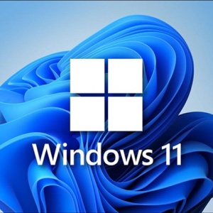 Windows11½׶Σ΢ȷWin11 24H2ΧͿ